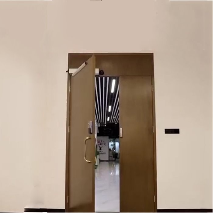 LV 801 Single swing door for passway LV 801 Single swing door for passway